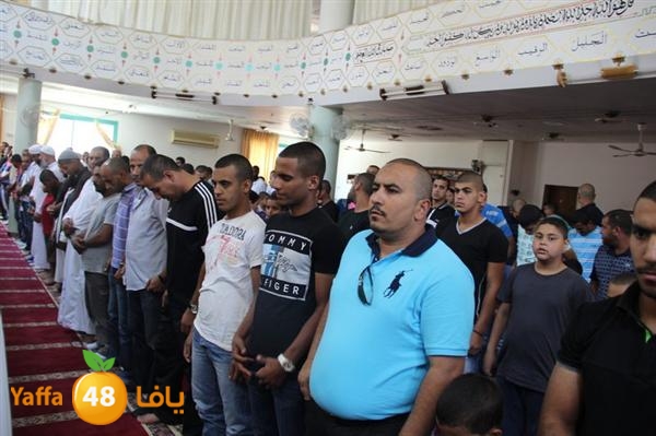 mayef abo ganem 0524 (26).JPG